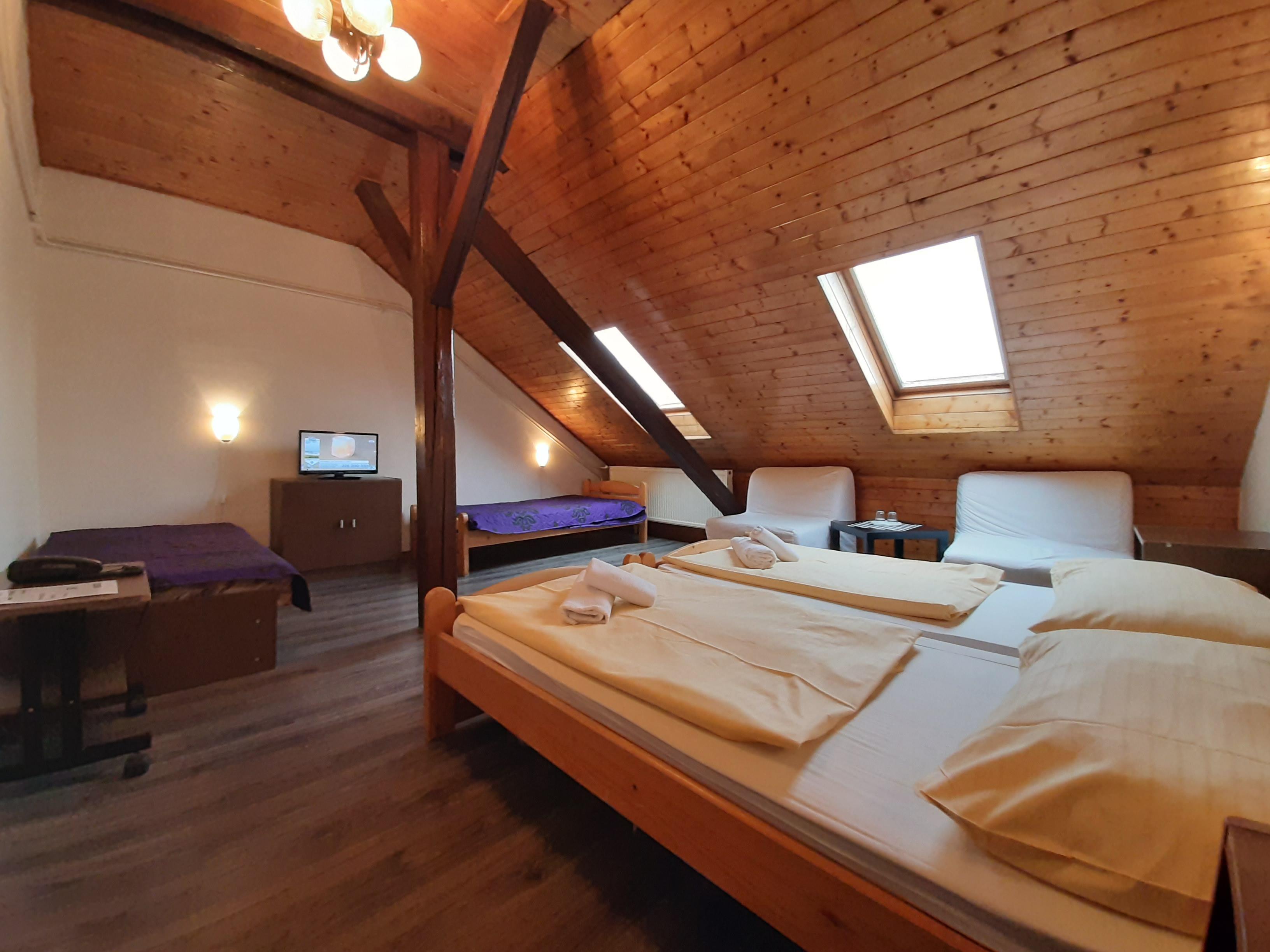 Olga Hotel Praag